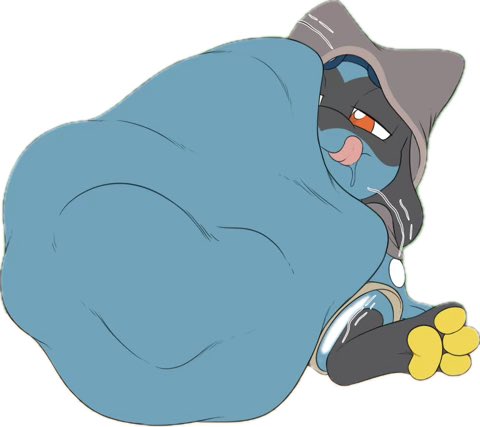 Sly The Riolu tweet media