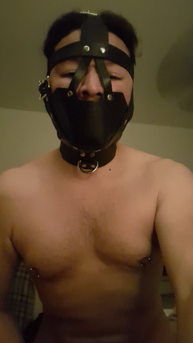 subzaddy's tweet photo. Muzzled #subtop #dombottom #domtwink #subdad https://t.co/jZMM9xqZT1