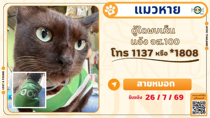 js100radio's tweet photo. แมวหายจาก ซ.ราษฎร์บูรณะ34 เขตราษฎร์บูรณะ ผู้ใดพบเห็นแจ้ง JS100 โทร *1808 หรือ 1137
.
แมวหาย พันธุ์ไทย เพศผู้ ชื่อสายหมอก อายุ 2 ปี ขนสีน้ำตาล สวมปลอกคอ ใส่เสื้อ grab สีเขียว หายจาก ซ.ราษฎร์บูรณะ34 เขตราษฎร์บูรณะ เมื่อวันที่ 24 ก.ค. 69 ผู้ใดพบเห็นแจ้ง JS100 โทร *1808 หรือ 1137

#แมวหาย #ตามหาแมว #JS100