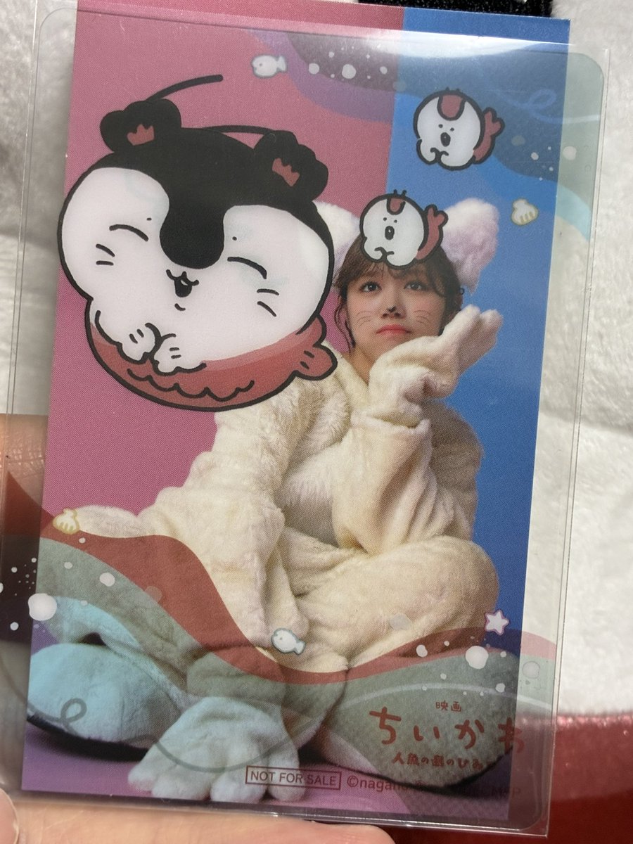 ゆんちゃん (@675yhn) / Posts / X