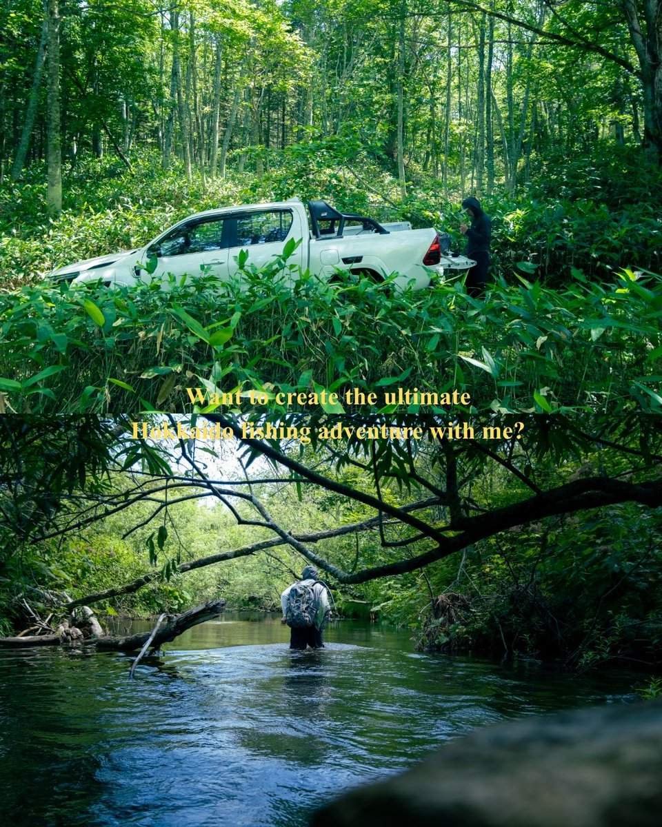 hfs_doto's tweet photo. wild rivers in Hokkaido, Japan 🎣🇯🇵
📩
https://t.co/YvSc92kvOs.service@gmail.com
💻
https://t.co/4erz3d5isP…
Beautiful scenery, powerful trout, and unforgettable moments.
Fly&Spinfishing🐟
#HokkaidoFishing #JapanFishing #FishingGuide #FlyFishing https://t.co/gnuHE1DaHQ