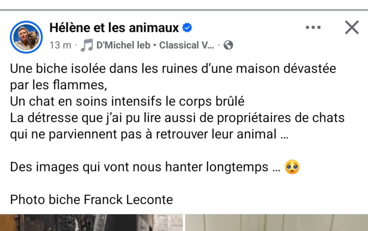 Loovenelle's tweet photo. *** SOS *** #Incendies https://t.co/kw9fCLJsyX