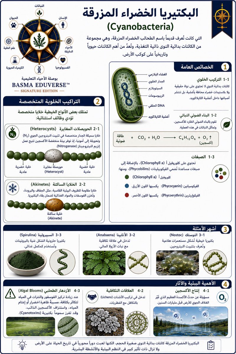 B_Touchh's tweet photo. #الرخصة_المهنية_احياء https://t.co/TCzndmxhMY