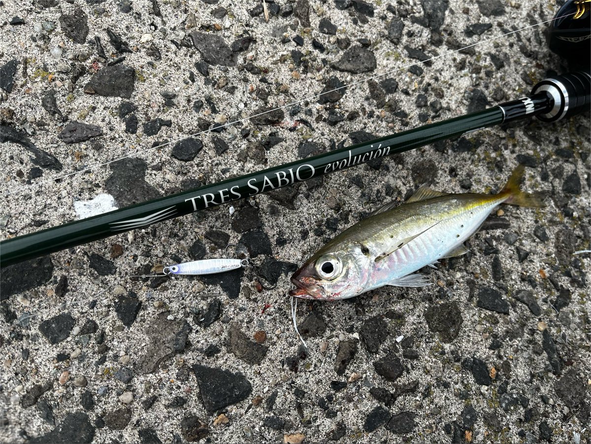 チキュー (@chikyu523) / Posts / X
