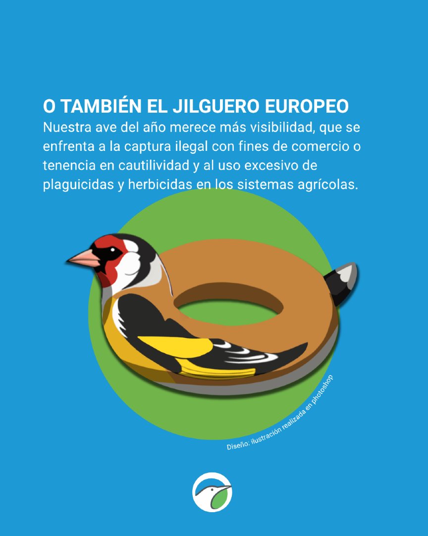 SEO_BirdLife's tweet photo. Flamencos de plástico en la piscina? Muy visto. 🥱🛟🦩
 
Queremos proponer un cambio de "look piscinero". ¿Por qué conformarnos con el típico flotador si podemos presumir de las superestrellas de nuestra biodiversidad? A ver, que nos conocemos... esto es solo un sueño de verano. https://t.co/IMqB9cQYkf