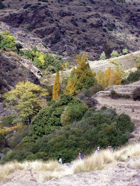 Senderosalmeria's tweet photo. El grupo de senderistas desciende hacia el cauce del río Paterna, en Senda del Agua – Castañar. La vegetación de ribera que se aprecia en la imagen es habitual en esta parte húmeda de la Alpujarra de Almería, alimentada por los deshielos y manantiales de Sierra Nevada. https://t.co/7dEQwPyn7C