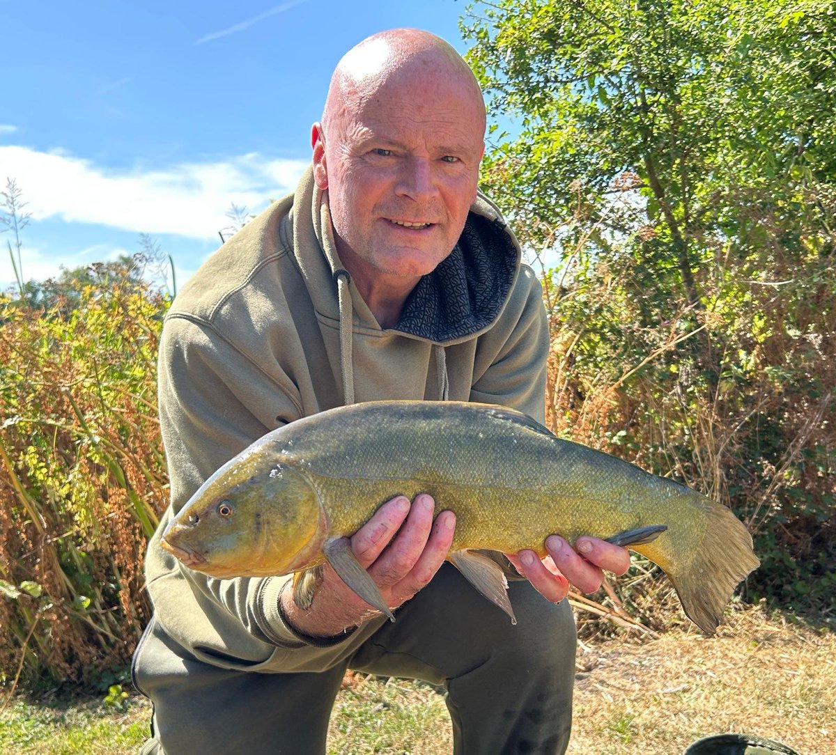 BobCuffy's tweet photo. The tench from yesterday #carp #tench #lakes #nature #keeponkeepingon https://t.co/rkT99I7P2R