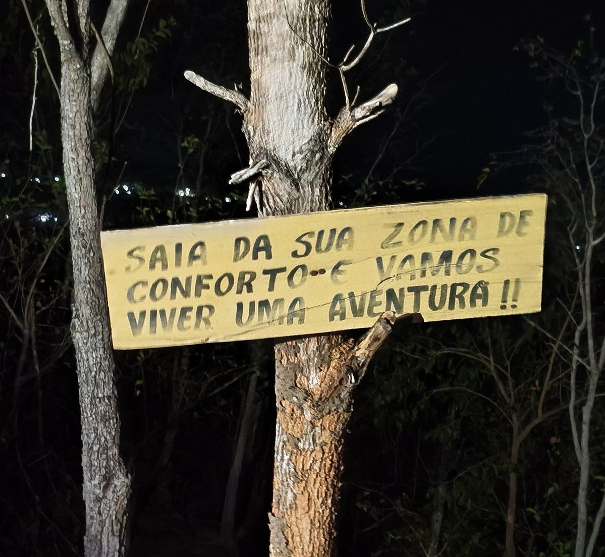 wannabe Conceição Tavares tweet media