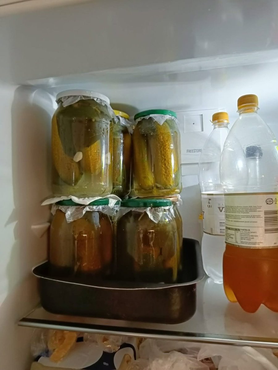 HilpoJuhana's tweet photo. Side project

Russian pickles (Lacto-fermented cucumbers)

This year, I got started on these nice and early. I also found better cucumbers than I did last year.
1/8
#russianpickles #lactofermentation #fermentation #homemade #traditionalpreservation #finnishcuisine https://t.co/FzH5PTEn8i