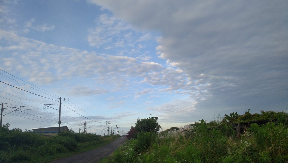 yuto1039's tweet photo. 昨夜から雷雨、
大雨警報の処あり　　
雨あがったら梅雨は明けるかな、

今日は【土用の丑の日】ウナギを食すと云うも
私は食わず嫌い、😶😶😶 https://t.co/flK84ZafQm