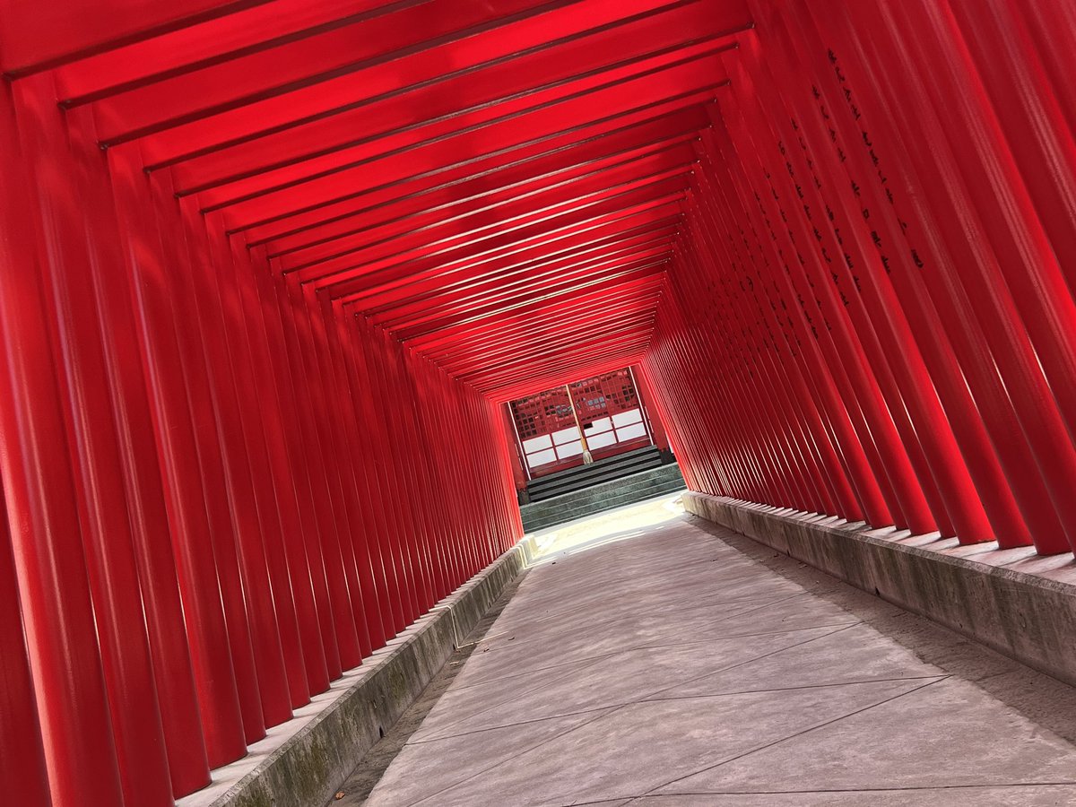 luckydonchan's tweet photo. 愛媛旅行
今治市街散策
今治城内吹揚稲荷神社⛩️ https://t.co/3EgLlLAWrO