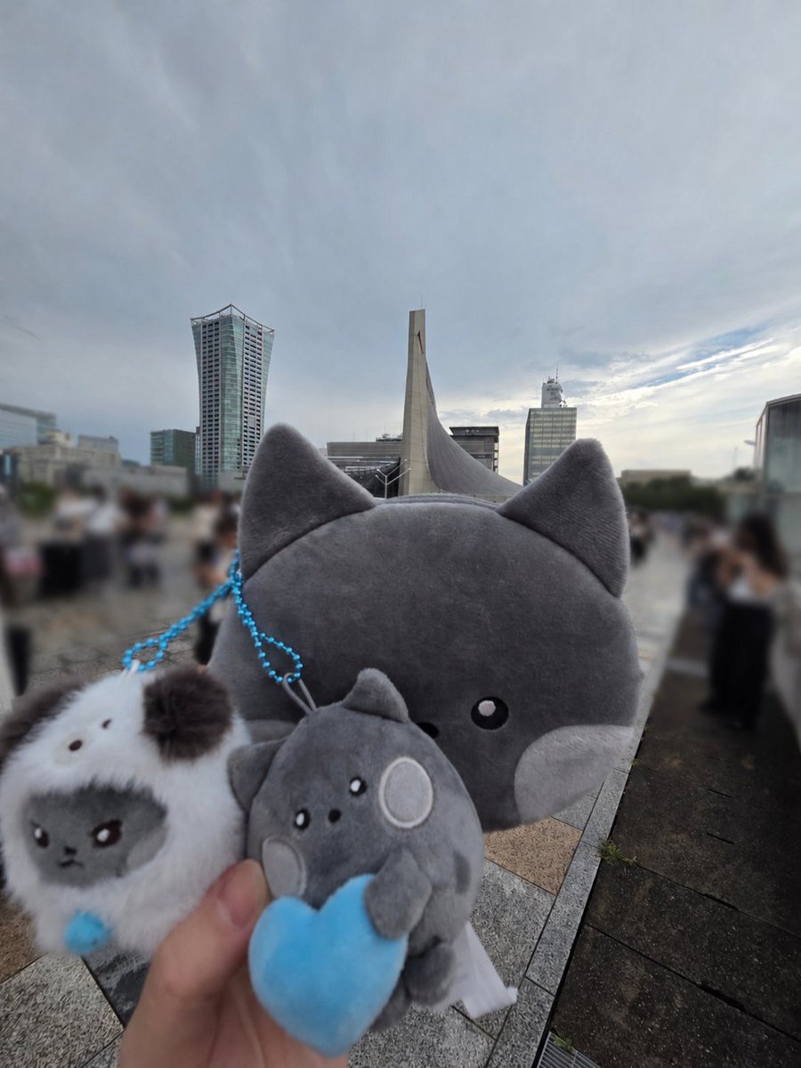 wild_bluerose's tweet photo. １部は普通席、２部は少しいい席。ただ、めちゃくちゃそとが暑くて...。日焼けというか、普通に痛い。 https://t.co/B1QWZg3dTO