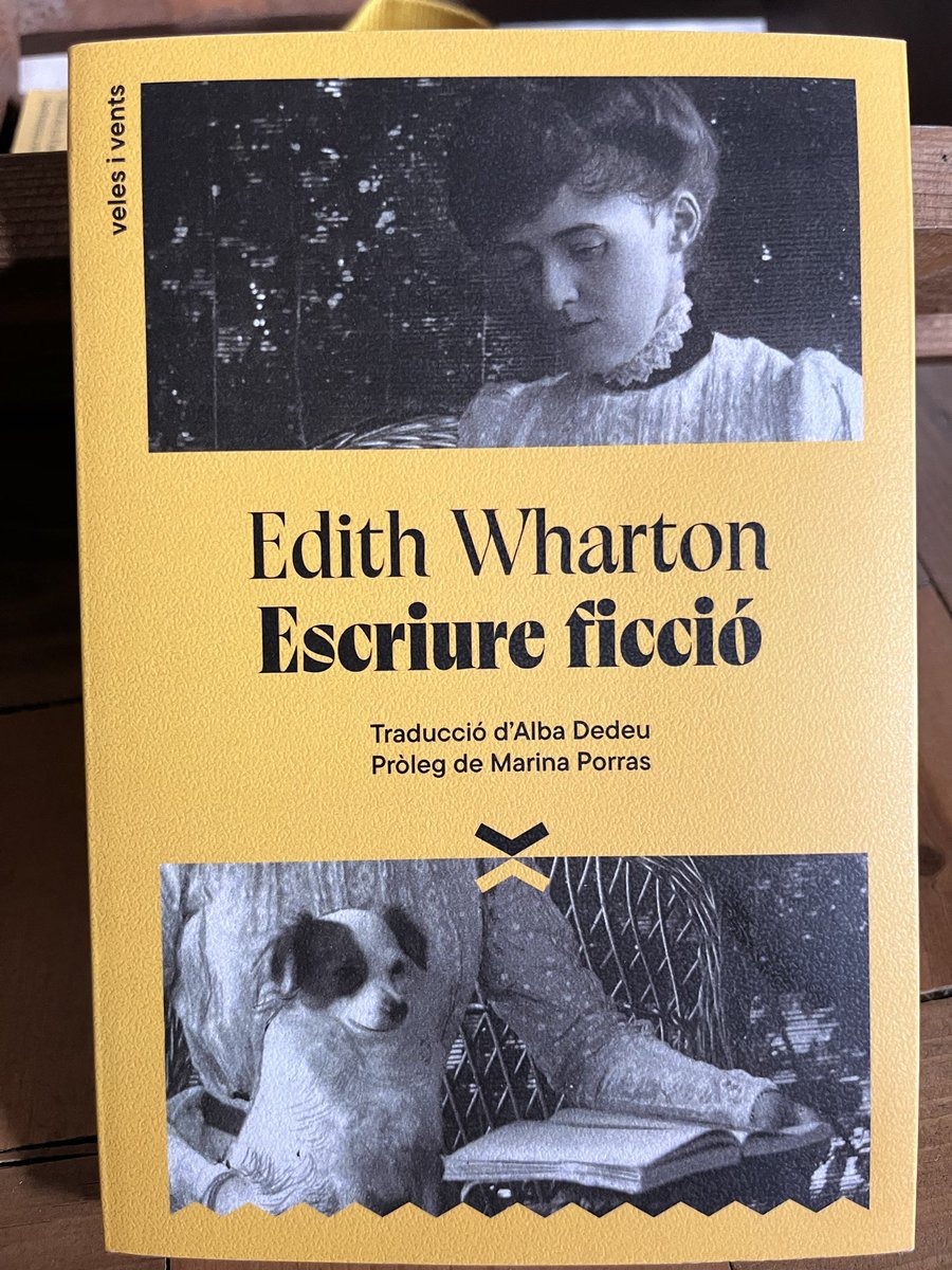 mahler_77's tweet photo. Molt bon assaig on analitza de manera molt estructurada l'art d'escriure el conte, la novel·la, les diferents formes que poden adquirir. Ple de referents lectors que ens desperten ganes de llegir-los o fer-ne relectura. I la bona traducció #AlbaDedeu. Un encert @velesivents_ed 💛 https://t.co/L3BmfhxHjO