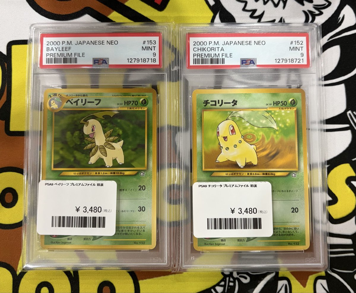 💚PDG情報💚 PSA9のチコリータとベイリーフがショーケースに登場です