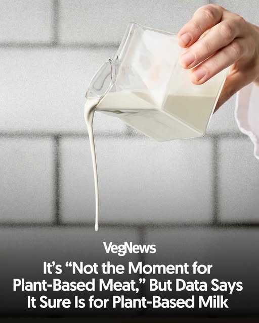 VegNews's tweet photo. The global dairy alternatives market is set to nearly double by 2036 as plant-based products go mainstream.
https://t.co/0IR5jdxqdA https://t.co/60fC4hqwlj