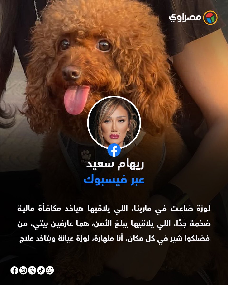 masrawy's tweet photo. "لوزة ضاعت".. ريهام سعيد تعلن مكافأة ضخمة لمن يجد كلبتها: "عيانة وبتاخد علاج" https://t.co/IX1Ph9BDd9