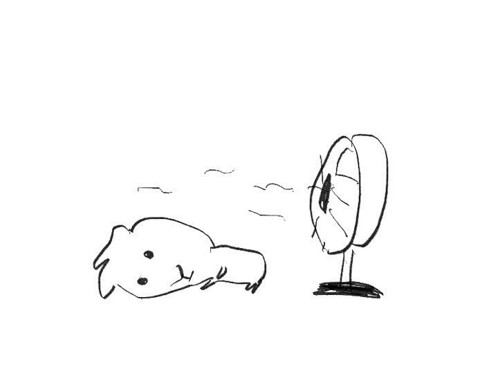얼담 tweet media