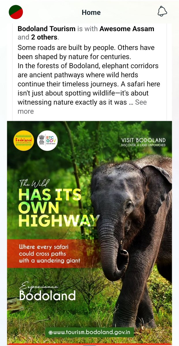bodolandforest's tweet photo. https://t.co/zP9GPUstBc https://t.co/AGwjghh5ud
