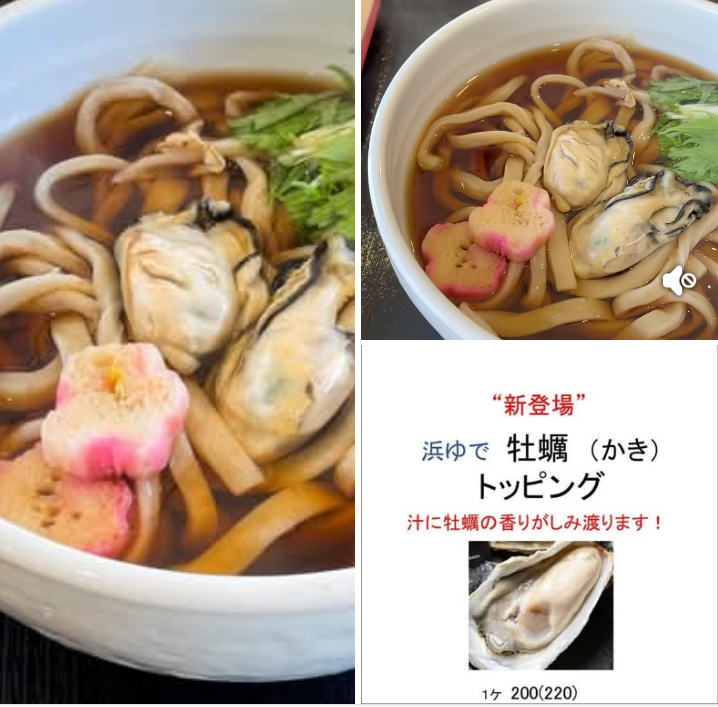 ShikiUdon's tweet photo. ■浜ゆで牡蠣（かき）トッピング

手打ちうどん 和（武蔵野うどん）
営業時間：11時〜14時半（L.O、売り切れ次第終了となります。）
志木市本町6-11-12

https://t.co/iwPtFfy8So https://t.co/qBezjUwYo1