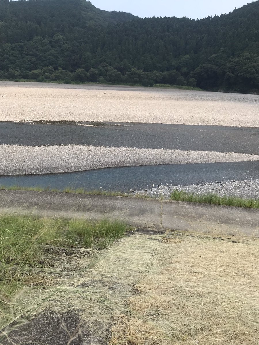 ikuko_otaka's tweet photo. 今年も熊野三山へ。湯の峰温泉、紀伊勝浦、那智の滝。真夏の熊野の山々は緑の密度が濃く、熊野川も那智の滝も、去年よりも水量少なめでした。今度は秋に行ってみたいな、と。 https://t.co/0zgEAgp7Yo