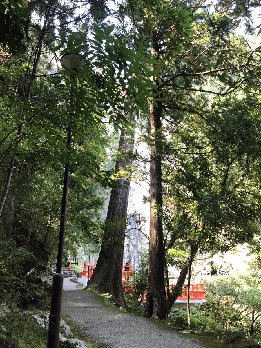 ikuko_otaka's tweet photo. 今年も熊野三山へ。湯の峰温泉、紀伊勝浦、那智の滝。真夏の熊野の山々は緑の密度が濃く、熊野川も那智の滝も、去年よりも水量少なめでした。今度は秋に行ってみたいな、と。 https://t.co/0zgEAgp7Yo