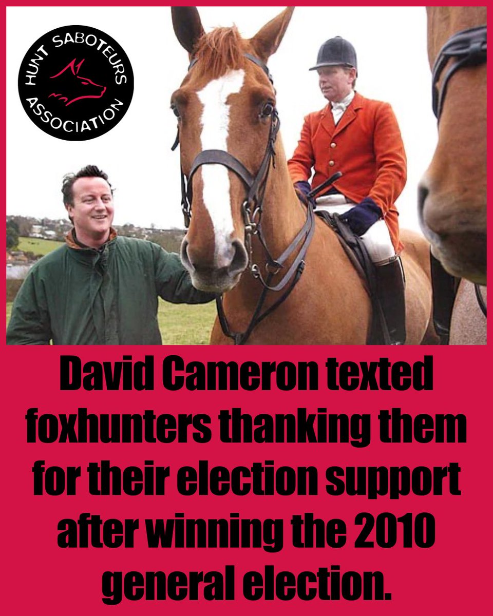 HuntSabs's tweet photo. “𝘐𝘵 𝘩𝘦𝘭𝘱𝘴 𝘵𝘰 𝘶𝘯𝘥𝘦𝘳𝘴𝘵𝘢𝘯𝘥 𝘵𝘩𝘢𝘵 𝘉𝘳𝘪𝘵𝘪𝘴𝘩 𝘏𝘰𝘶𝘯𝘥 𝘚𝘱𝘰𝘳𝘵𝘴 𝘈𝘴𝘴𝘰𝘤𝘪𝘢𝘵𝘪𝘰𝘯 𝘊𝘩𝘢𝘪𝘳𝘮𝘢𝘯 𝘝𝘪𝘴𝘤𝘰𝘶𝘯𝘵 𝘈𝘴𝘵𝘰𝘳, 𝘪𝘴 𝘵𝘩𝘦 𝘴𝘵𝘦𝘱-𝘧𝘢𝘵𝘩𝘦𝘳 𝘰𝘧 𝘚𝘢𝘮𝘢𝘯𝘵𝘩𝘢 𝘊𝘢𝘮𝘦𝘳𝘰𝘯, 𝘸𝘪𝘧𝘦 𝘰𝘧 𝘧𝘰𝘳𝘮𝘦𝘳 𝘊𝘰𝘯𝘴𝘦𝘳𝘷𝘢𝘵𝘪𝘷𝘦 𝘗𝘳𝘪𝘮𝘦 𝘔𝘪𝘯𝘪𝘴𝘵𝘦𝘳 𝘋𝘢𝘷𝘪𝘥 𝘊𝘢𝘮𝘦𝘳𝘰𝘯. 𝘝𝘰𝘵𝘦-𝘖𝘒 𝘤𝘭𝘢𝘪𝘮𝘦𝘥 𝘵𝘰 𝘩𝘢𝘷𝘦 𝘩𝘦𝘭𝘱𝘦𝘥 29 𝘱𝘳𝘰-𝘩𝘶𝘯𝘵 𝘤𝘢𝘯𝘥𝘪𝘥𝘢𝘵𝘦𝘴 𝘳𝘦𝘵𝘢𝘪𝘯 𝘰𝘳 𝘸𝘪𝘯 𝘱𝘢𝘳𝘭𝘪𝘢𝘮𝘦𝘯𝘵𝘢𝘳𝘺 𝘴𝘦𝘢𝘵𝘴 𝘪𝘯 2005.

𝘍𝘰𝘭𝘭𝘰𝘸𝘪𝘯𝘨 𝘵𝘩𝘦 𝘊𝘰𝘯𝘴𝘦𝘳𝘷𝘢𝘵𝘪𝘷𝘦𝘴’ 𝘷𝘪𝘤𝘵𝘰𝘳𝘺 𝘢𝘵 𝘵𝘩𝘦 2010 𝘨𝘦𝘯𝘦𝘳𝘢𝘭 𝘦𝘭𝘦𝘤𝘵𝘪𝘰𝘯, 𝘋𝘢𝘷𝘪𝘥 𝘊𝘢𝘮𝘦𝘳𝘰𝘯 𝘩𝘢𝘥 𝘱𝘭𝘦𝘥𝘨𝘦𝘥 𝘵𝘰 𝘢𝘭𝘭𝘰𝘸 𝘢 𝘧𝘳𝘦𝘦 𝘷𝘰𝘵𝘦 𝘰𝘯 𝘳𝘦𝘱𝘦𝘢𝘭𝘪𝘯𝘨 𝘵𝘩𝘦 𝘏𝘶𝘯𝘵𝘪𝘯𝘨 𝘈𝘤𝘵, 𝘢𝘧𝘵𝘦𝘳 𝘵𝘩𝘢𝘯𝘬𝘪𝘯𝘨 𝘧𝘰𝘹 𝘩𝘶𝘯𝘵𝘦𝘳𝘴 𝘧𝘰𝘳 𝘵𝘩𝘦𝘪𝘳 𝘷𝘰𝘵𝘦𝘴.”

Read about the long history of deception and underhand tactics deployed by the pro-hunt lobby to legalise fox hunting, and Viscount Astor’s most recent attempt to deceive government over the ban 👉 https://t.co/MLLd0595L7