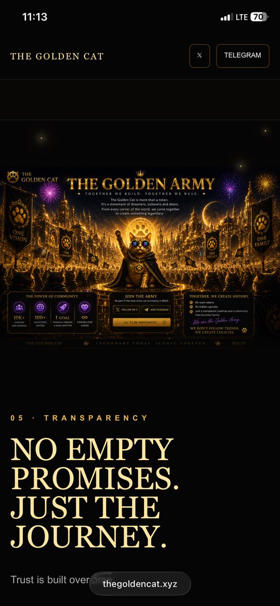The Golden Cat 🐾 tweet media
