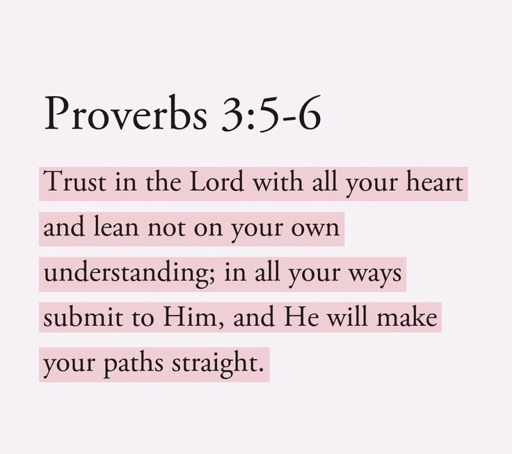 Bible Daily tweet media