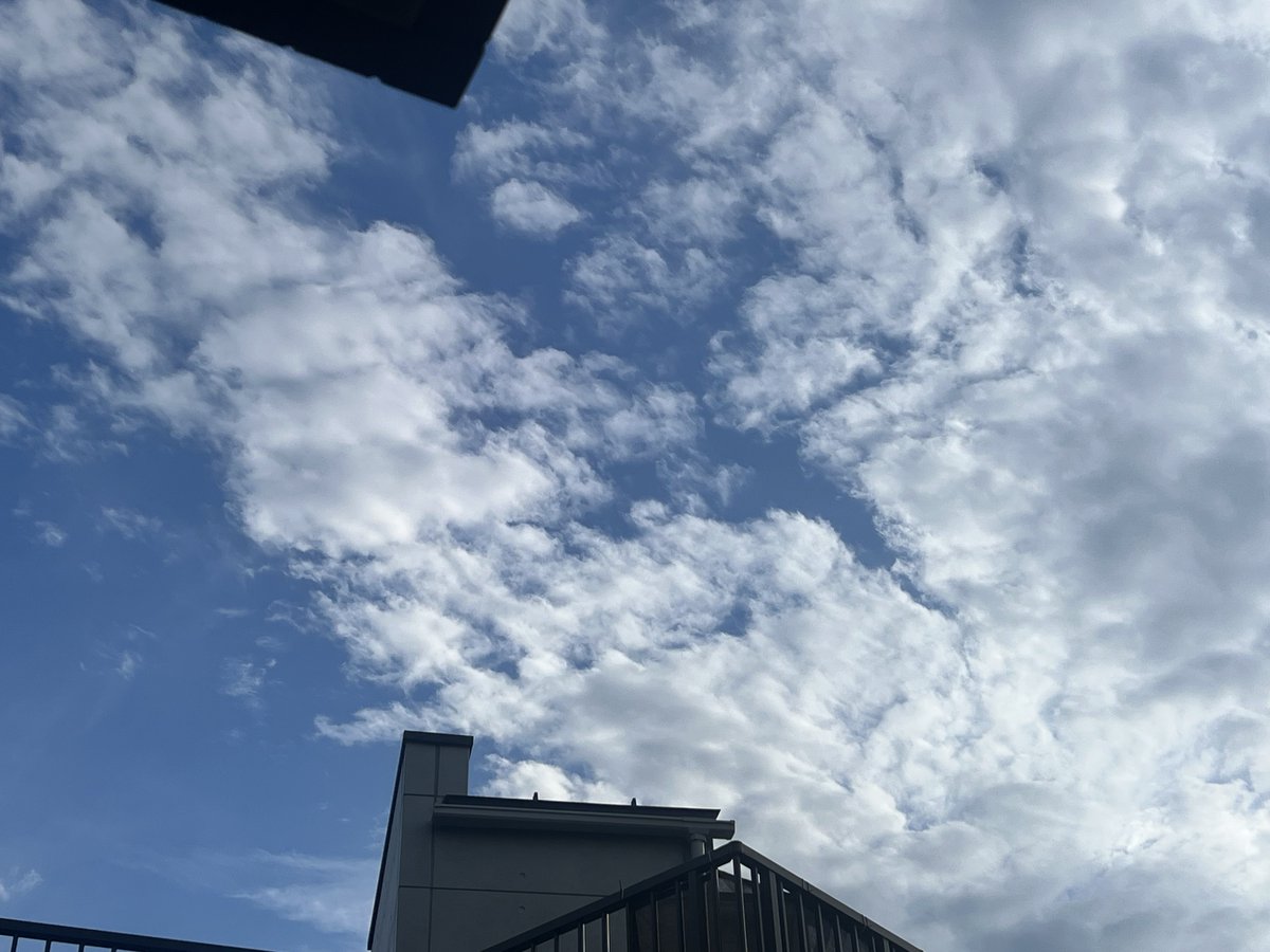 choco_snow888's tweet photo. ❷❹❹くん元気？
体調はどんな感じ？
どんな風に過ごされてるのかな？
とにかく最後のお歌が
もうsuper すぺしゃるな
想いを歌にしてくれて
ずっと思い起こしてるけど
胸がギュッとなって
その度に涙してるよ😭 https://t.co/IGCQW9OrBP