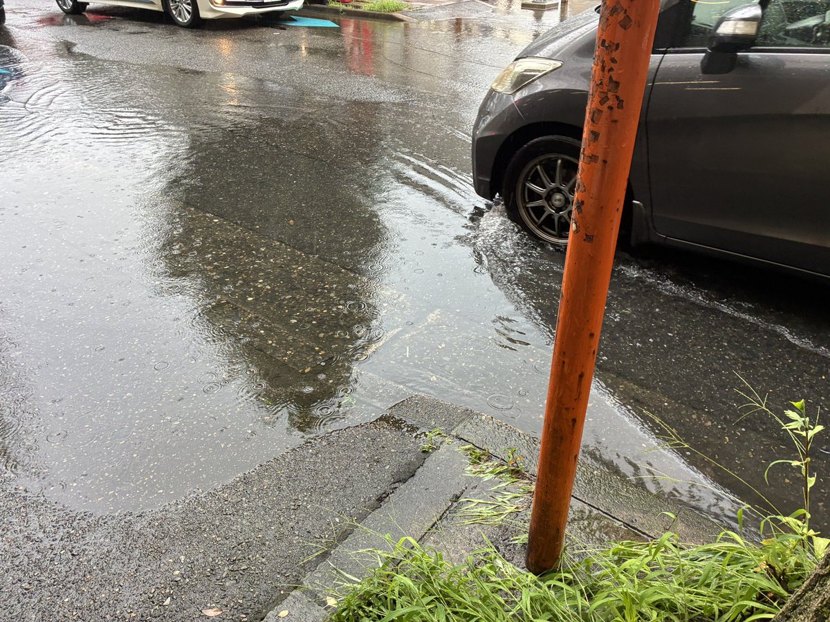 ph_sp_ph_geo's tweet photo. これが新潟の潟ですか... https://t.co/BN5v6v6UzD