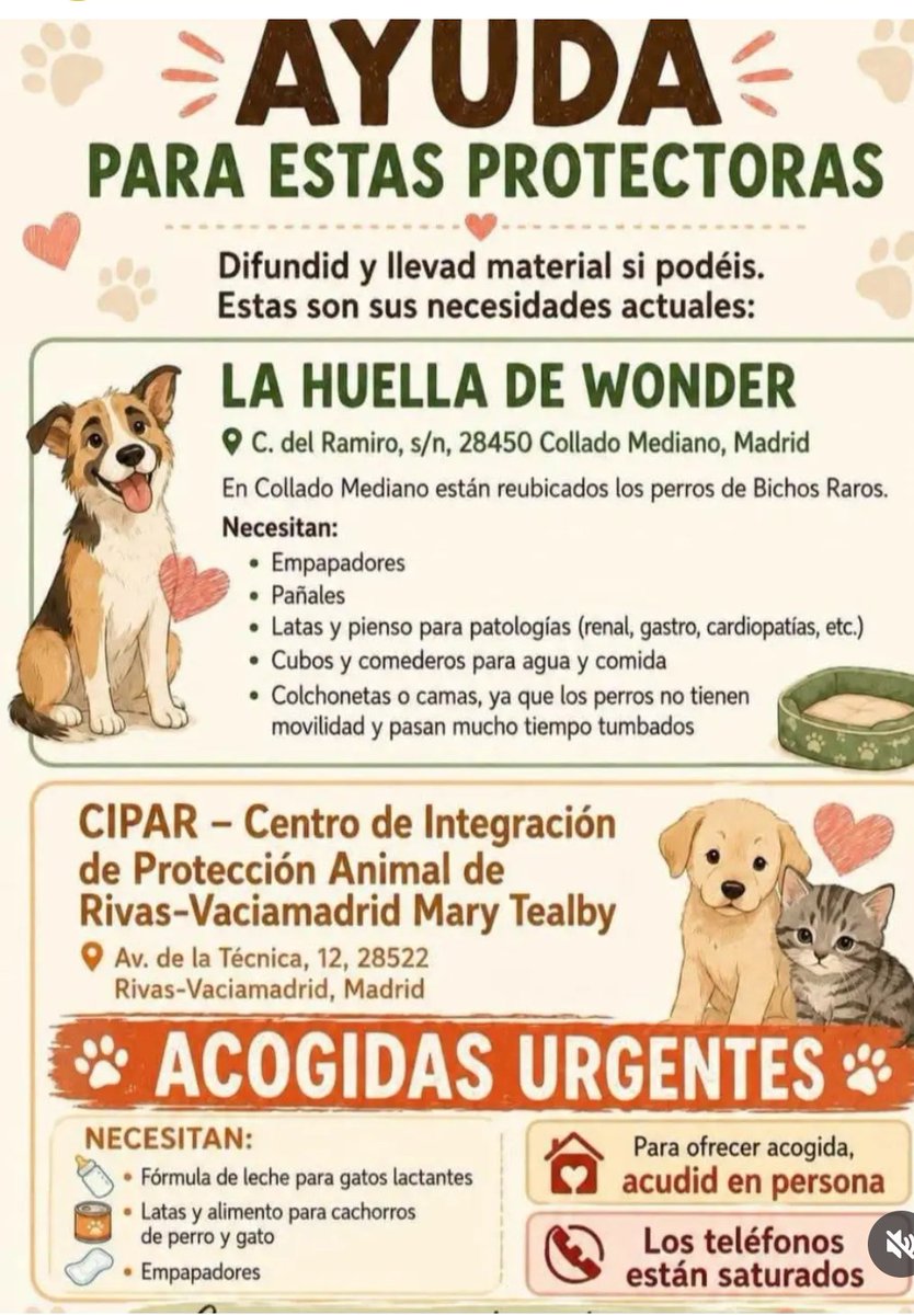 SOS Salvando Vidas España. tweet media
