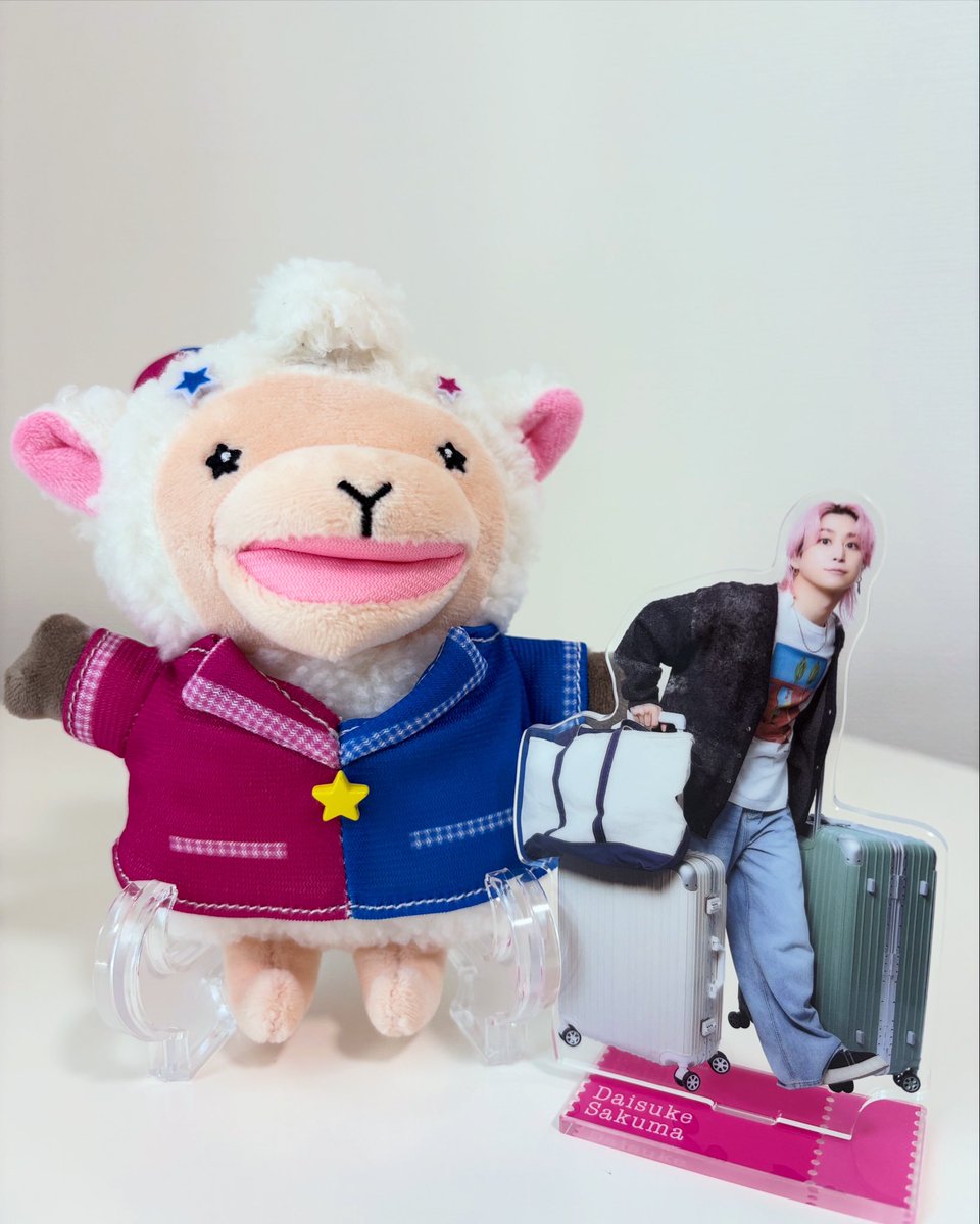 ringo_des_now's tweet photo. SnowMan Original Goods 2026
届いたー⛄️可愛い🥹
これはまさに聖地巡礼にぴったり‼︎
阿部ちゃんビジュ良すぎ…💚
おしつじさんも届いた🐏
さっくんとパシャリ🩷📸
この子達といっぱい旅するぞー‼︎
#スノーマン #SnowMan #スノグッズ
#GoingwithSnowMan #推しの降る夜 https://t.co/S2go4Xi1mv
