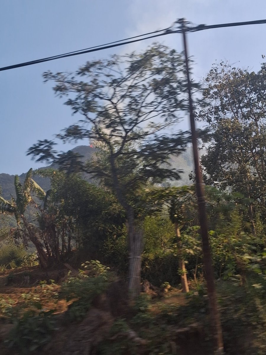 ami_aminah's tweet photo. Mau ke Garut terus liat asap di gunung. Kayanya kebakaran deh soalnya keliatan apinya. Mudah2an ga membesar.

*maaf ga dapet foto proper https://t.co/S8n10fOPs5