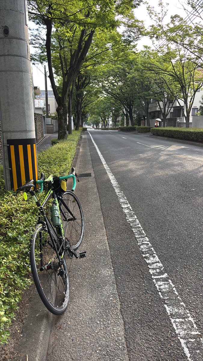 tokadan481's tweet photo. #caad https://t.co/rbXnruxlLz