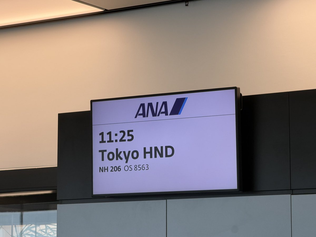 moookooo22's tweet photo. あー 旅が終わっちゃう〜✈️ https://t.co/ZDCskVg40n