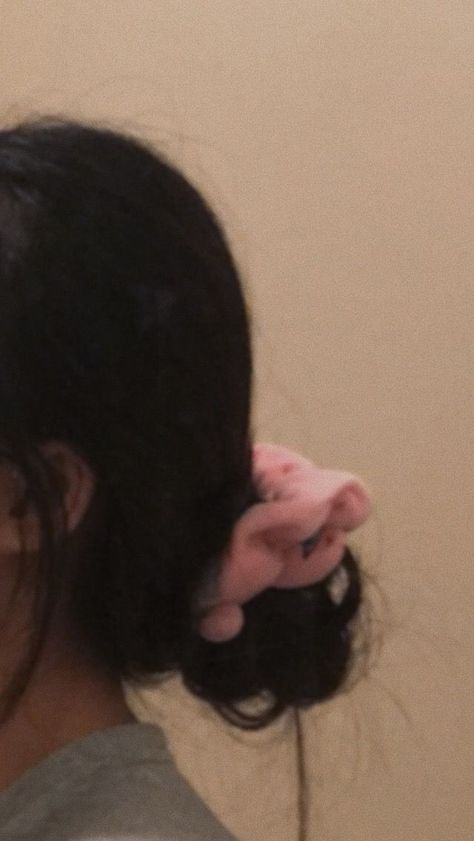 weiming18's tweet photo. https://t.co/197euPntn1