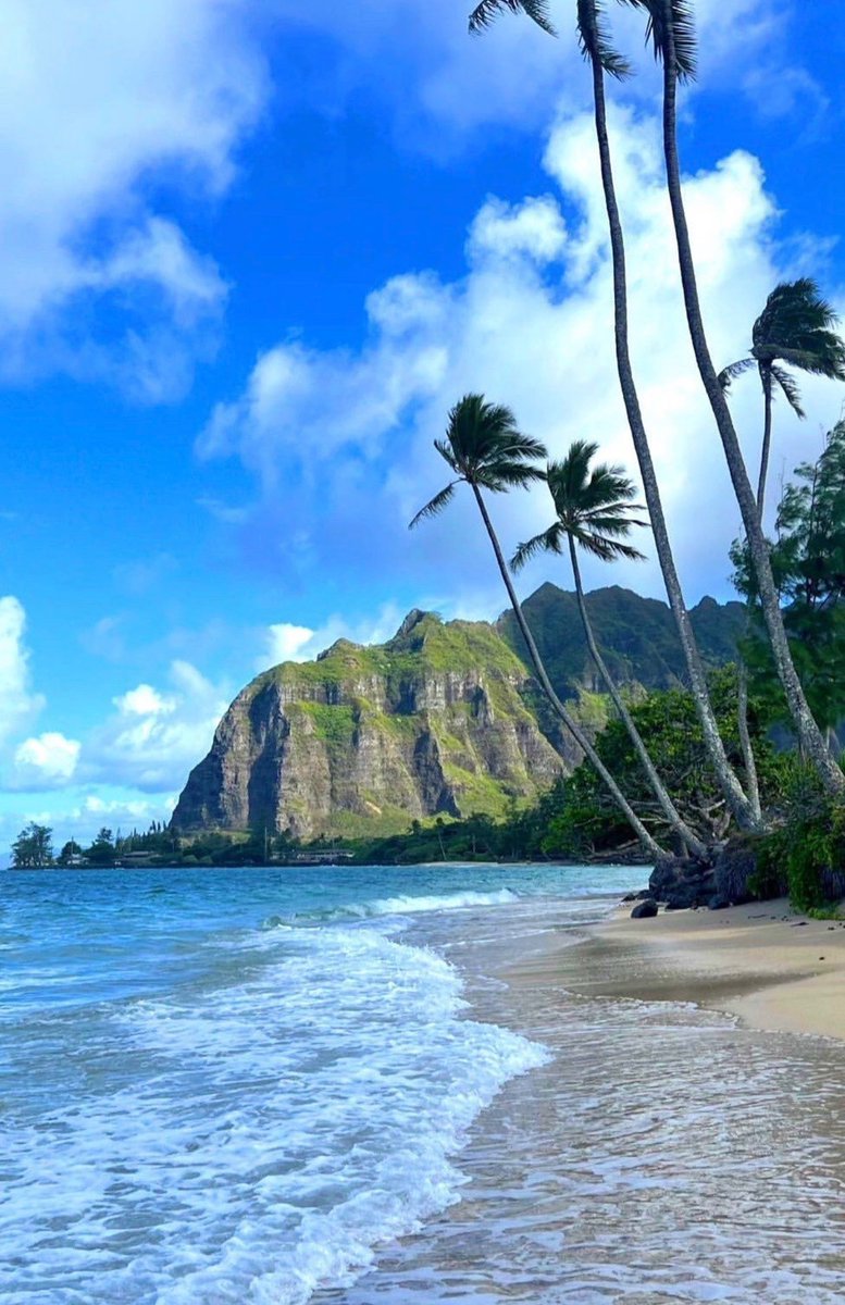 NaturalEye78321's tweet photo. Hawaii, USA 🇺🇸 https://t.co/LaVXvfUqTy