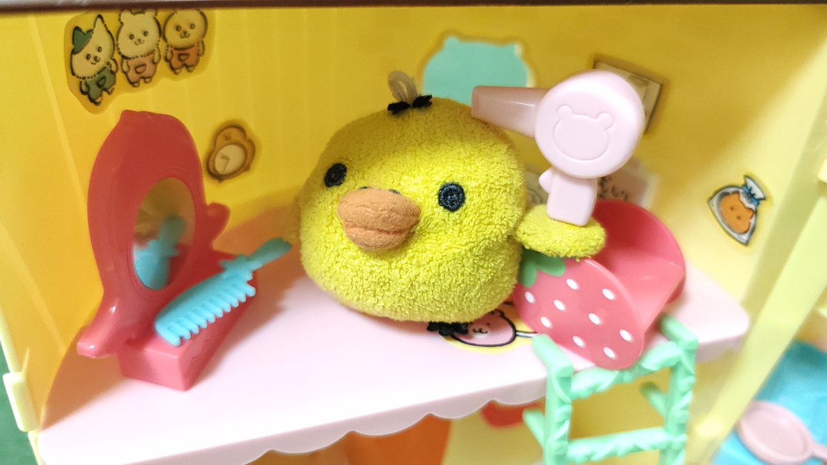 BgpR9H83aVLgPrY's tweet photo. 🐥🪮ブオーー https://t.co/ISeWCVjOvO