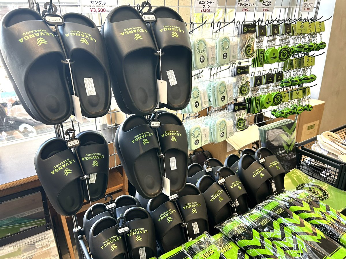 レバンガ北海道 tweet media