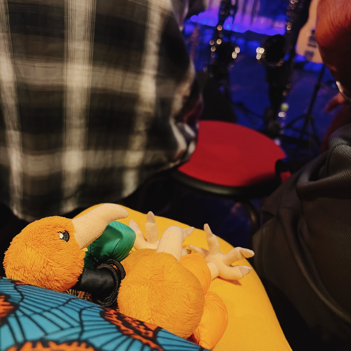 RunningDoduo's tweet photo. 今日はライブ楽しもうなあ、ドードー。 https://t.co/cnSul6eIQm