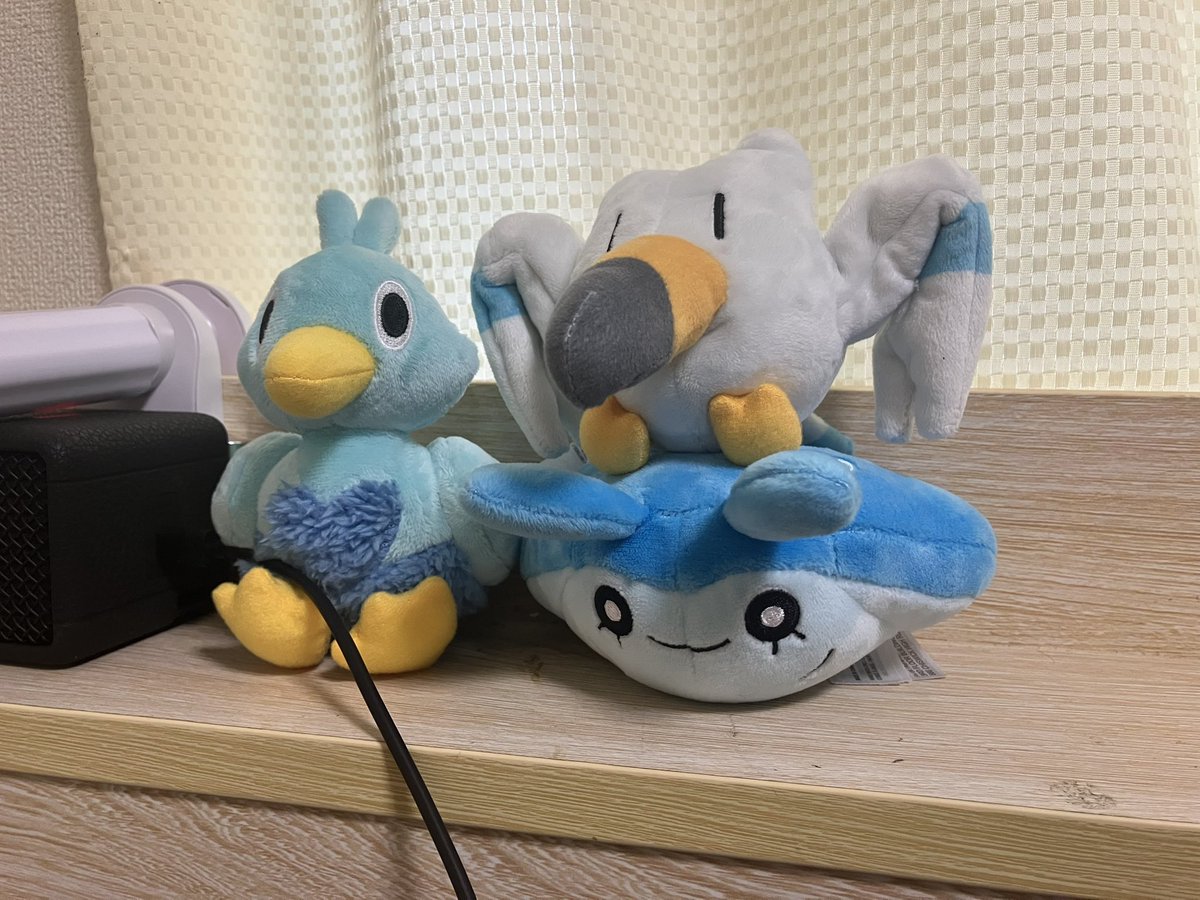 niffy238's tweet photo. 3匹目
コアルヒーをお出迎え https://t.co/TgRVyuNFfG