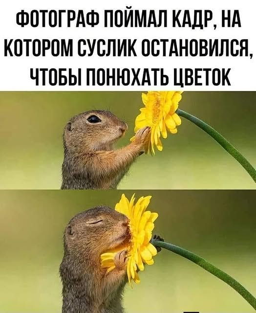 Elenaprostota's tweet photo. https://t.co/6LQ3uYvk8L