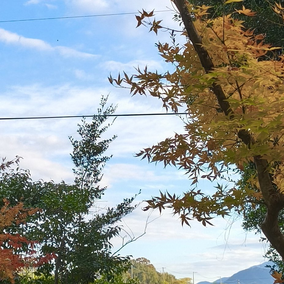 tanaka222a's tweet photo. 自然 https://t.co/hs89PpBUgx