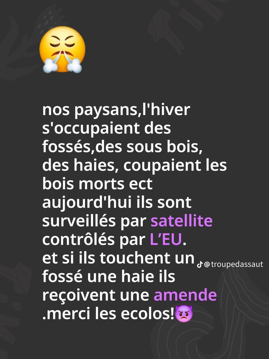 NorbertNoguera's tweet photo. OÙ SONT LES ÉCOLOS !? https://t.co/GxcrsAV1GX