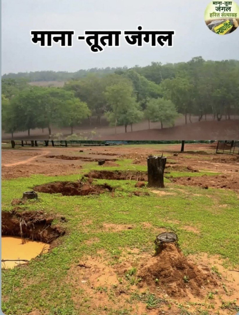 ssgpb's tweet photo. माना-तूता जंगल रायपुर की साँस है।

यहाँ ऑक्सीजन ज़ोन, नालंदा जैसी लाइब्रेरी और उच्च शिक्षा का हरित परिसर बनना चाहिए। 

सरकार से निवेदन है फिल्म सिटी पूर्व चिन्हांकित जगह पर बनाया जा सकता है यह जंगल विकास के नाम पर बलि ना चढ़े यही प्रार्थना है
@ChhattisgarhCMO @vishnudsai https://t.co/4HG37m3fI8