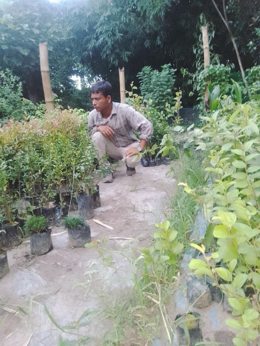 HoqueAmaluddin's tweet photo. https://t.co/2rQUCMMPe7
