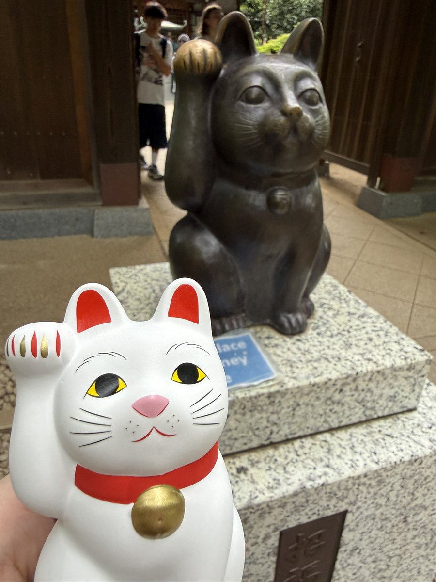 wanderlust_TYO's tweet photo. 久々に招き猫が欲しくなり三匹目の招福猫児をお迎えした😻🐾
豆猫も欲しかったけど今は1人1体（匹）のため次回にする
#豪徳寺 #Gotokuji https://t.co/8AMDYM8hz3