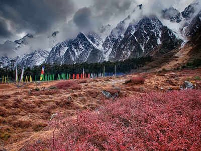 mrrhmehta1's tweet photo. Yumthang Valley, Sikkim. 🏔️⛰️ 🇮🇳 https://t.co/Ili0i4ai0W