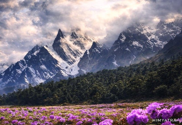 mrrhmehta1's tweet photo. Yumthang Valley, Sikkim. 🏔️⛰️ 🇮🇳 https://t.co/Ili0i4ai0W