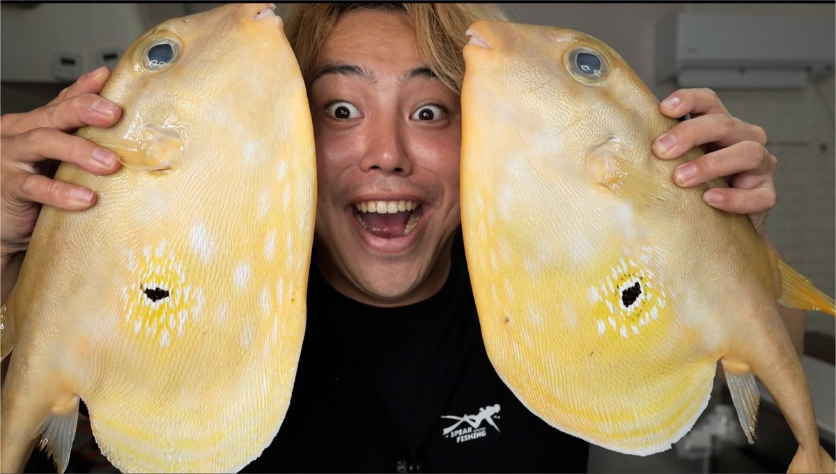 素潜り漁師マサル 牛刀 漁師の夜明け 専用箱付き 18cm 36205-87-